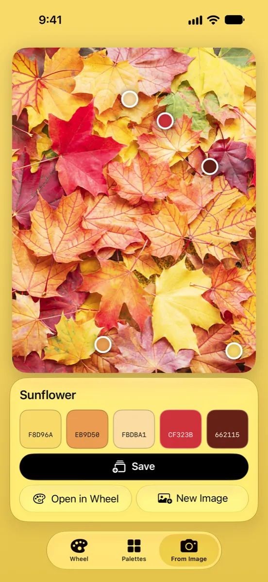 Nyanse on iPhone — a five-color palette picked from a photo of autumn leaves