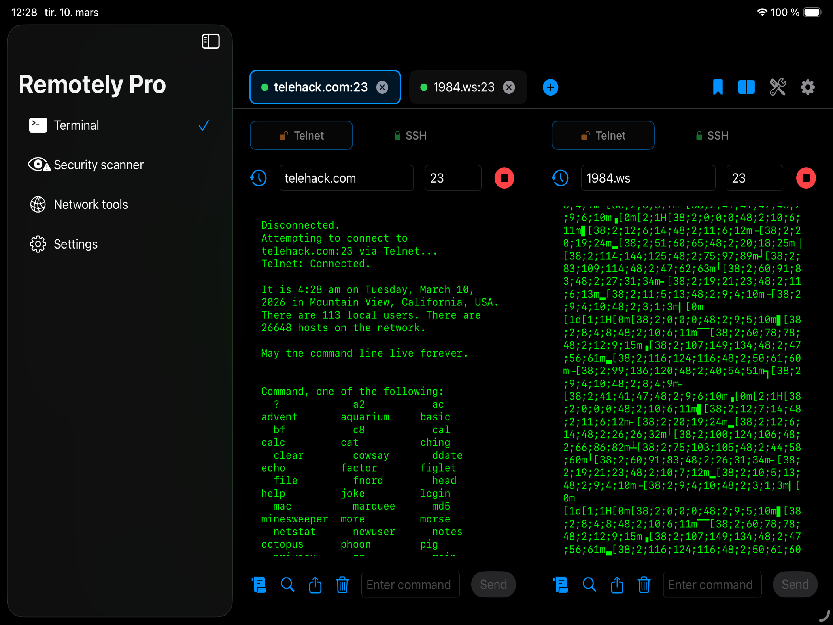 Remotely Pro on iPad - terminal view