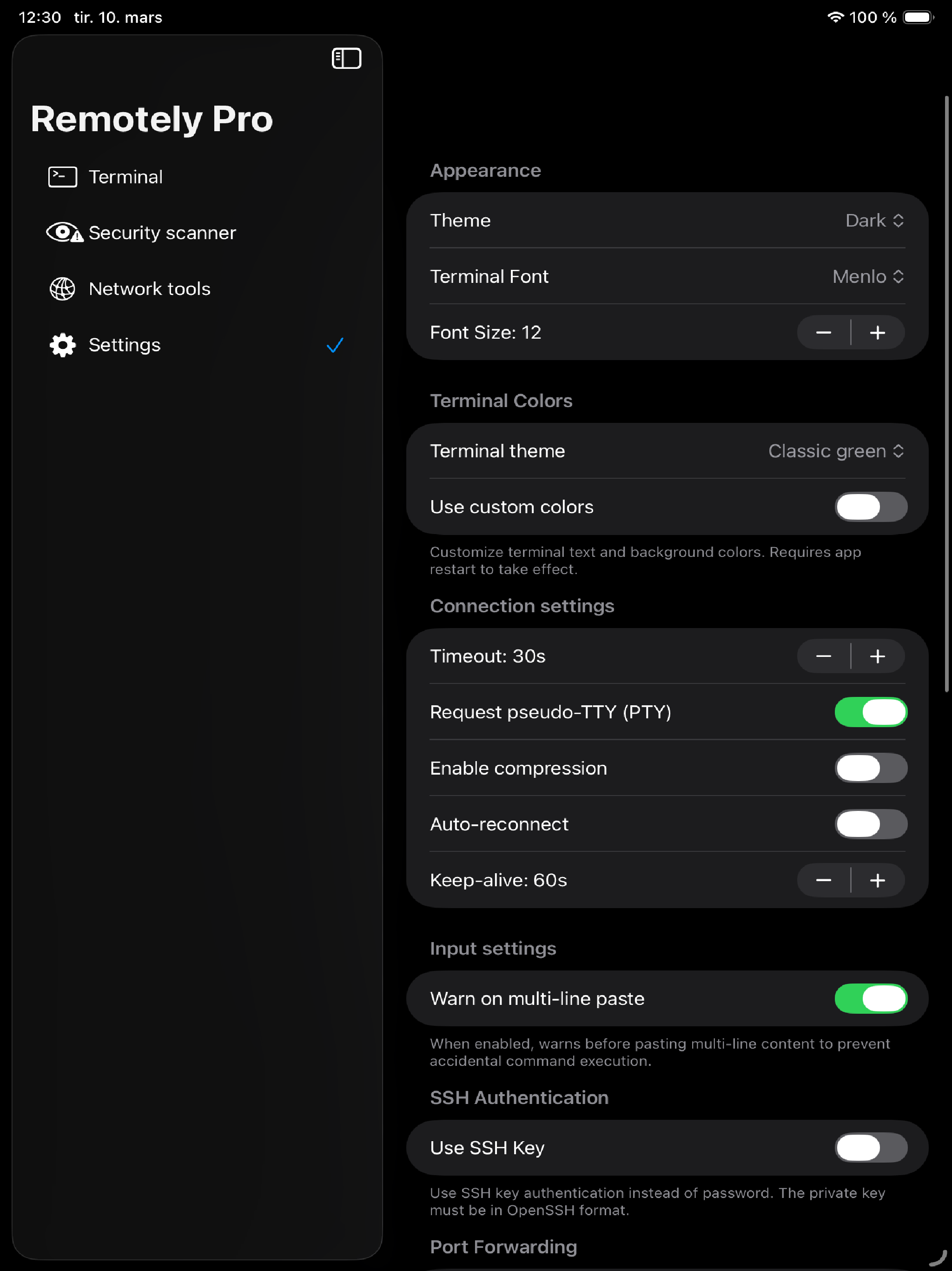 Remotely Pro on iPad - security scanner